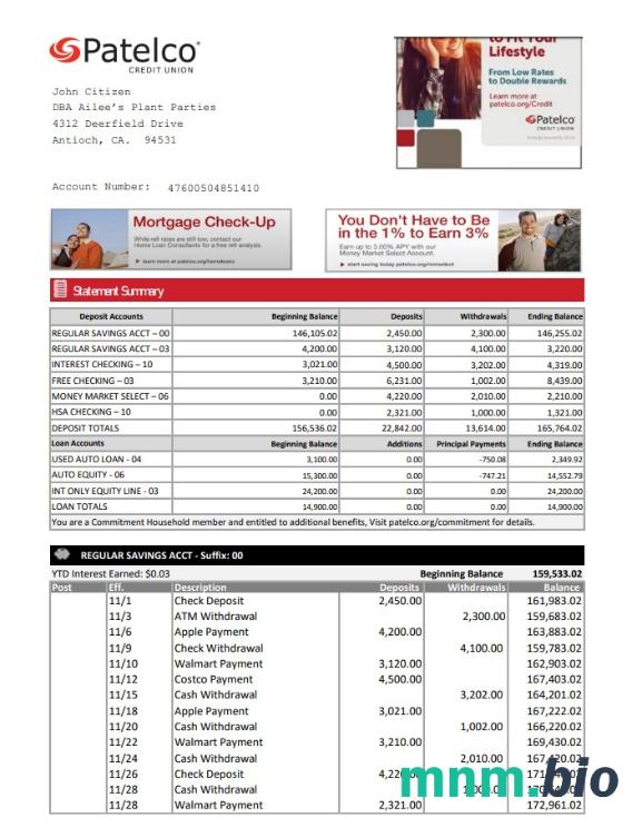 Szablon wyciągu bankowego Usa California MoneyLion w programie Word i PDF